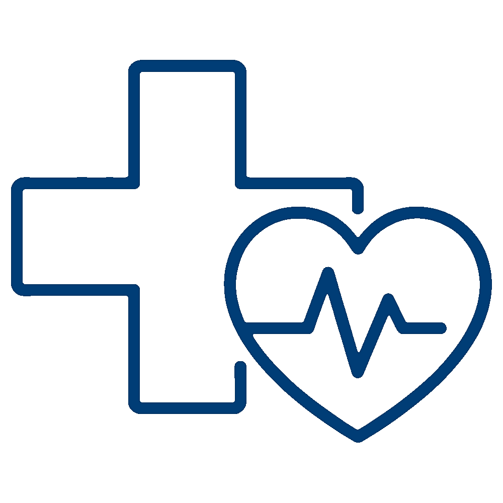 Healthcare Icon Blue